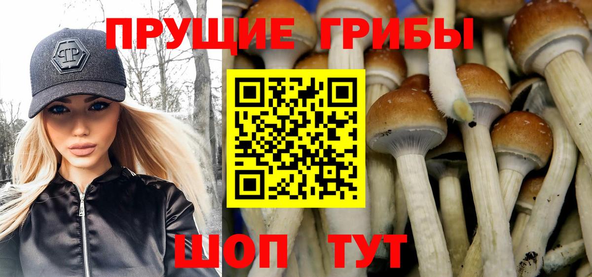 Галлюциногенные грибы прущие грибы  Вход с VPN  Менделеевск 