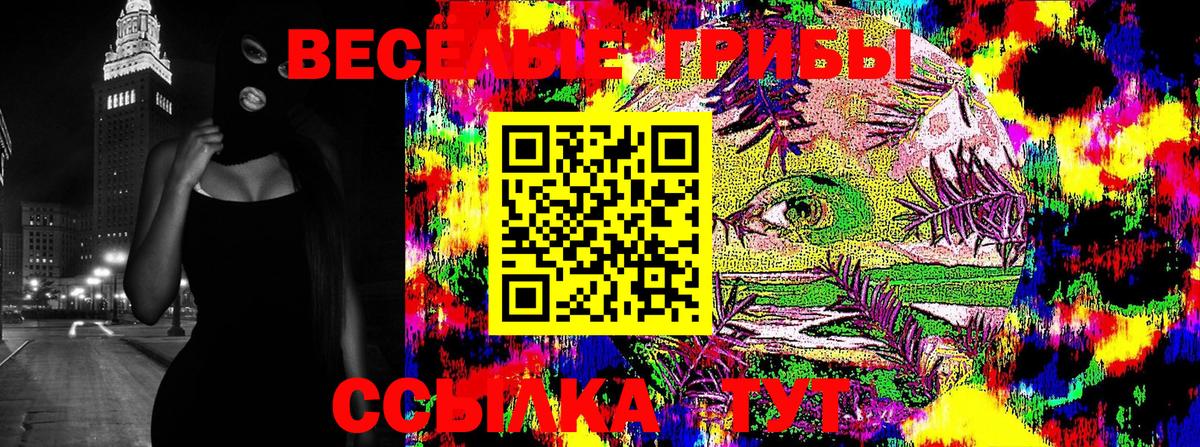 Галлюциногенные грибы Psilocybine cubensis Менделеевск